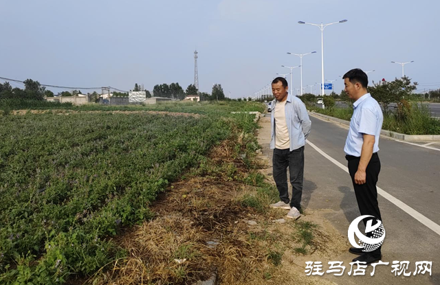 驛城區朱古洞鄉:特色種養殖產業激活鄉村振興“新引擎”