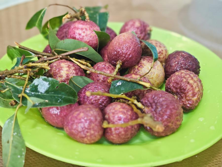 從“一日色變”到“四季常鮮”,解碼荔枝的現(xiàn)代保鮮秘訣