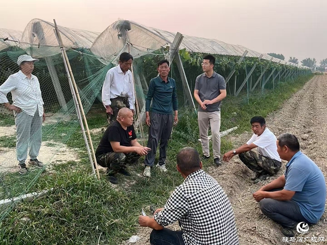 正陽縣寒凍鎮:開通服務群眾熱線 打通基層治理“最后一米”