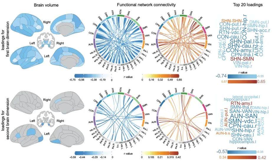 少睡一刻鐘，腦子變&ldquo;懵懂&rdquo;？勸你早睡的科學依據來了