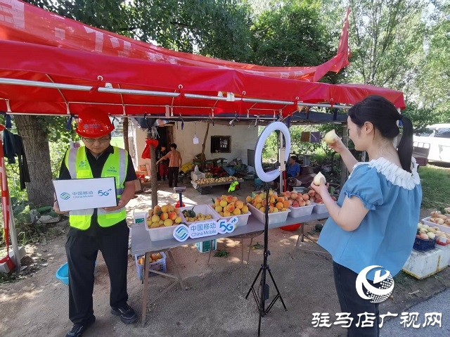 駐馬店移動為桃農(nóng)提供優(yōu)質(zhì)網(wǎng)絡(luò)保障