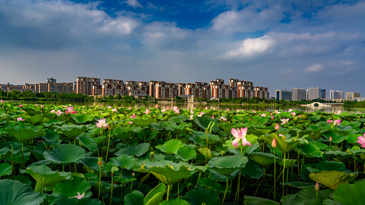 縣區(qū)動(dòng)態(tài) | 咔嚓！捕捉夏天的N種色彩