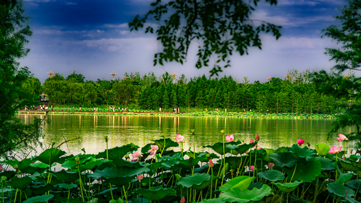 縣區(qū)動(dòng)態(tài) | 咔嚓！捕捉夏天的N種色彩