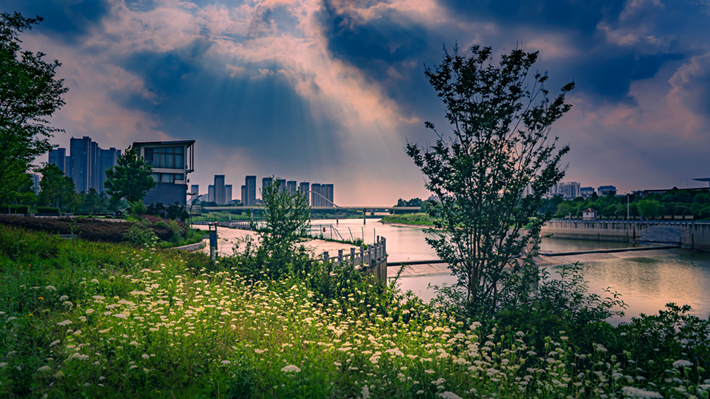 縣區(qū)動(dòng)態(tài) | 咔嚓！捕捉夏天的N種色彩