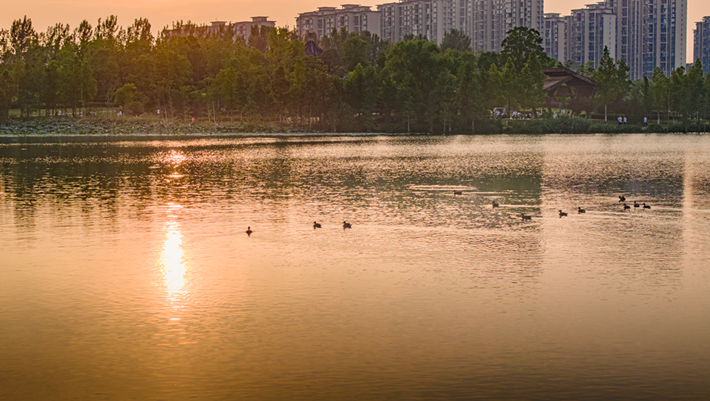 縣區(qū)動(dòng)態(tài) | 咔嚓！捕捉夏天的N種色彩