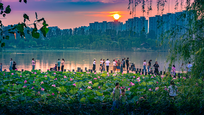 縣區(qū)動(dòng)態(tài) | 咔嚓！捕捉夏天的N種色彩