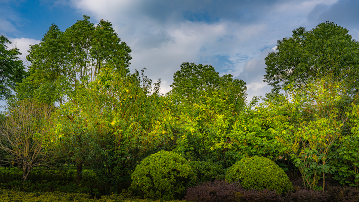 縣區(qū)動(dòng)態(tài) | 咔嚓！捕捉夏天的N種色彩