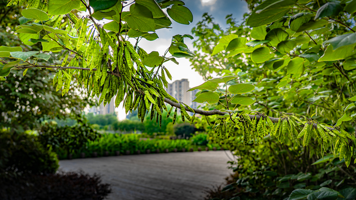 縣區(qū)動(dòng)態(tài) | 咔嚓！捕捉夏天的N種色彩