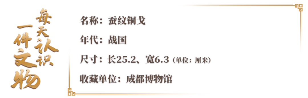 文博日歷丨青銅戈上刻蠶紋 這是古蜀人種桑養蠶的實證