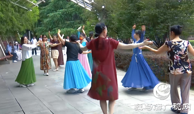  綠意成蔭享清涼  置地公園繪就夏日休閑圖景
