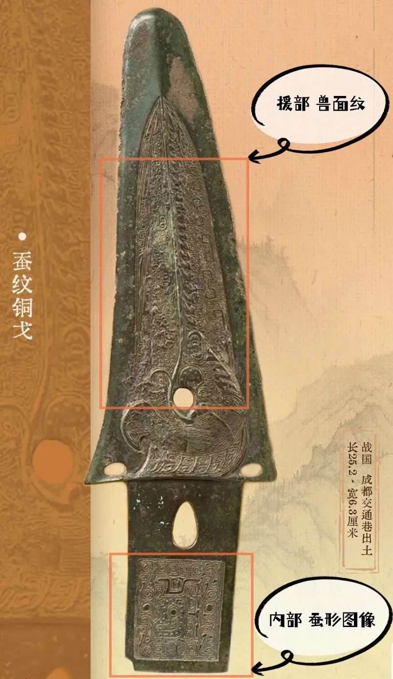 文博日歷丨青銅戈上刻蠶紋 這是古蜀人種桑養蠶的實證