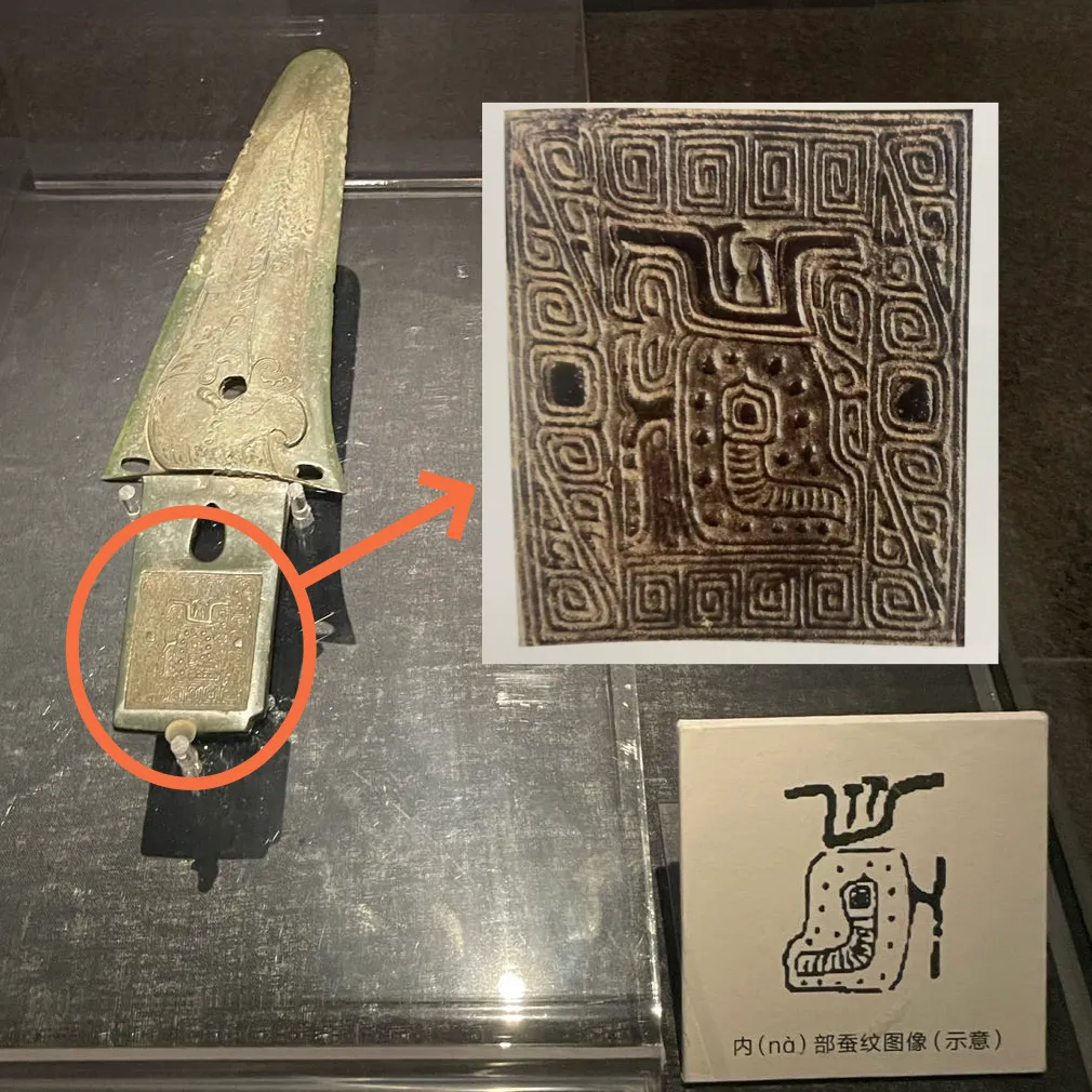 文博日歷丨青銅戈上刻蠶紋 這是古蜀人種桑養蠶的實證