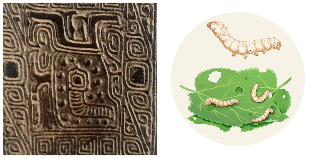 文博日歷丨青銅戈上刻蠶紋 這是古蜀人種桑養蠶的實證