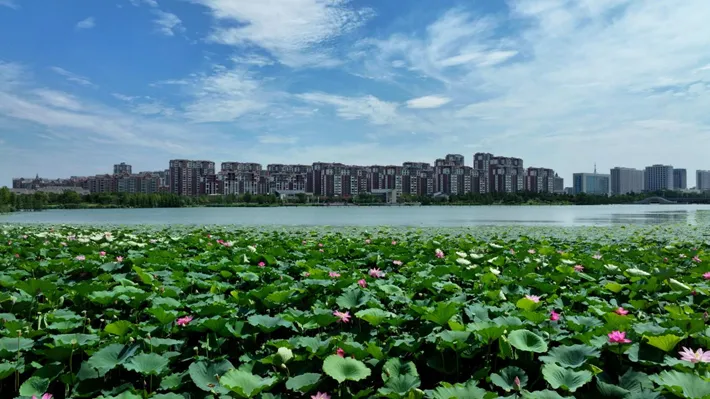 縣區動態 | 白云升遠岫,搖曳入晴空