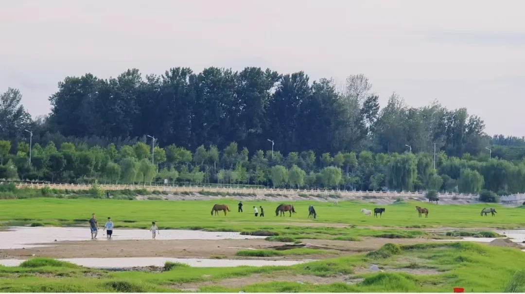 縣區(qū)動態(tài) | 快來泌陽的“阿勒泰”打卡！