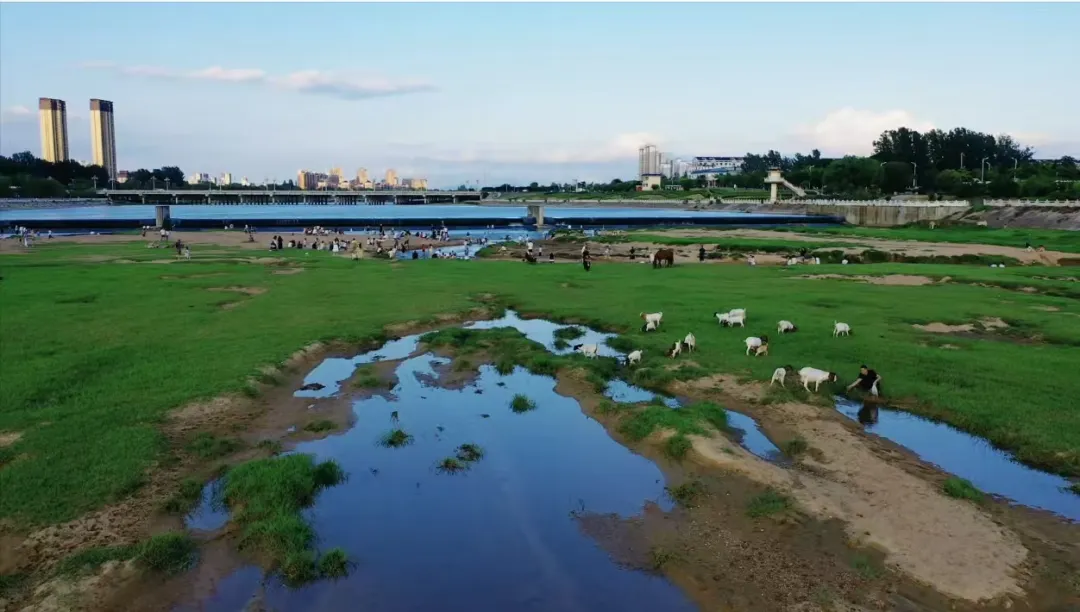 縣區(qū)動態(tài) | 快來泌陽的“阿勒泰”打卡！