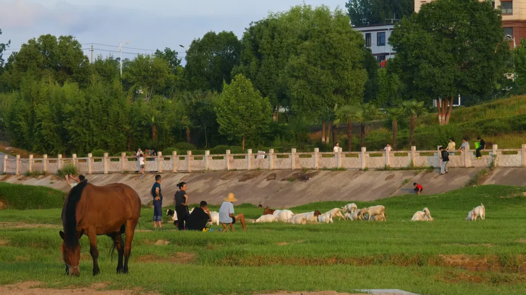 縣區(qū)動態(tài) | 快來泌陽的“阿勒泰”打卡！