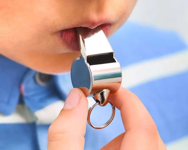 文博日歷丨吹響它，仿佛回到了童年的夏天