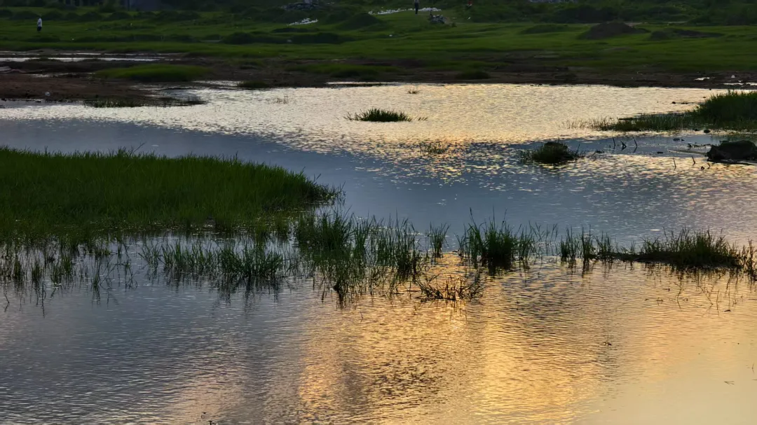 縣區(qū)動態(tài) | 快來泌陽的“阿勒泰”打卡！