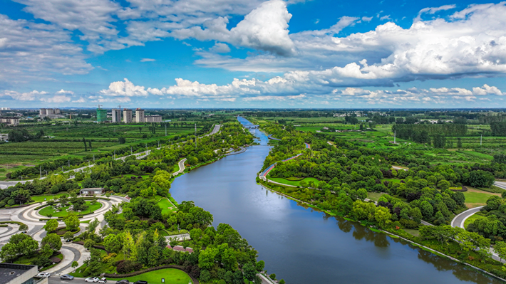 縣區動態 | 一泓碧水繞城過 滿目青綠夏意濃