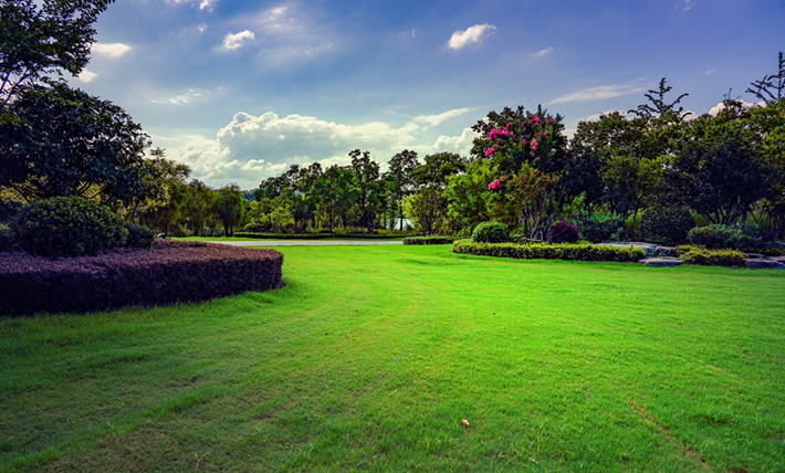 縣區動態 | 一泓碧水繞城過 滿目青綠夏意濃