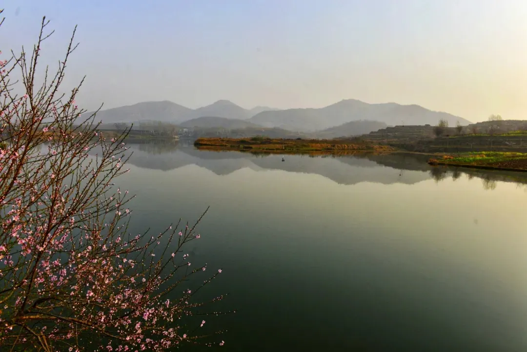 縣區動態 | 來泌陽吧，來一場不一樣的生態游