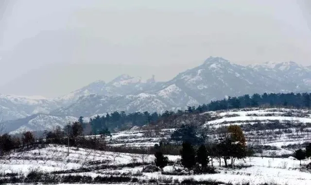 縣區動態 | 來泌陽吧，來一場不一樣的生態游