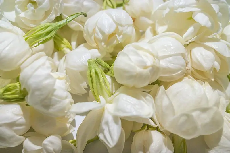 文博日歷丨誰是竹夫人?古人消暑神器了解一下