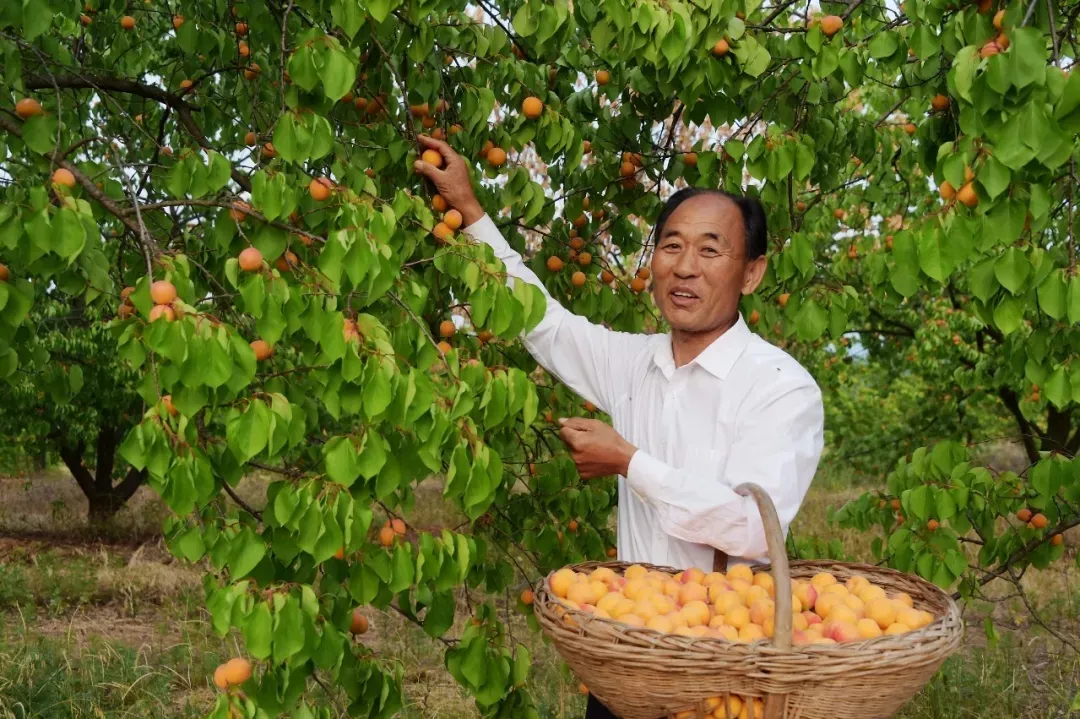 縣區動態 | 來泌陽吧，來一場不一樣的生態游