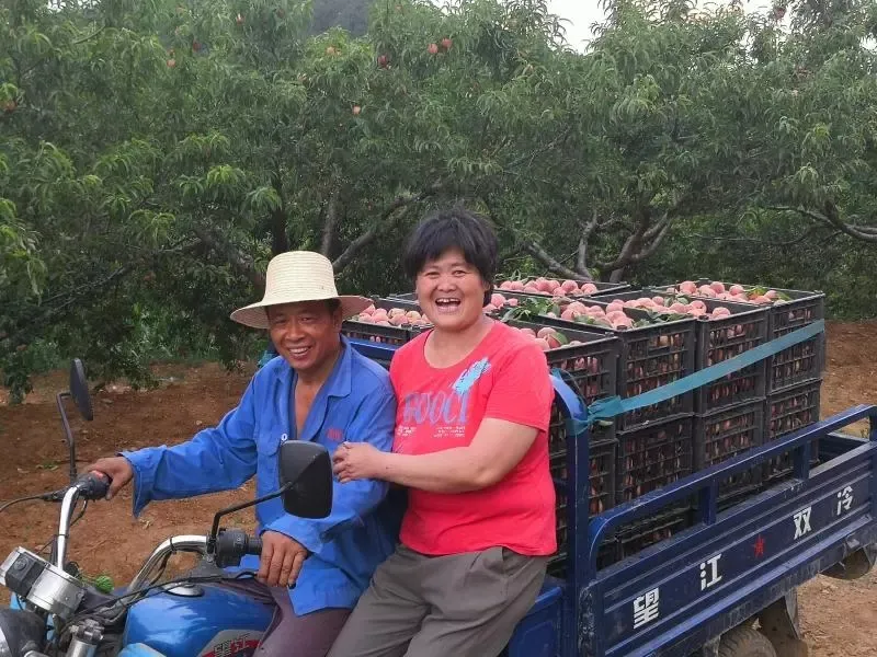 縣區動態 | 來泌陽吧，來一場不一樣的生態游