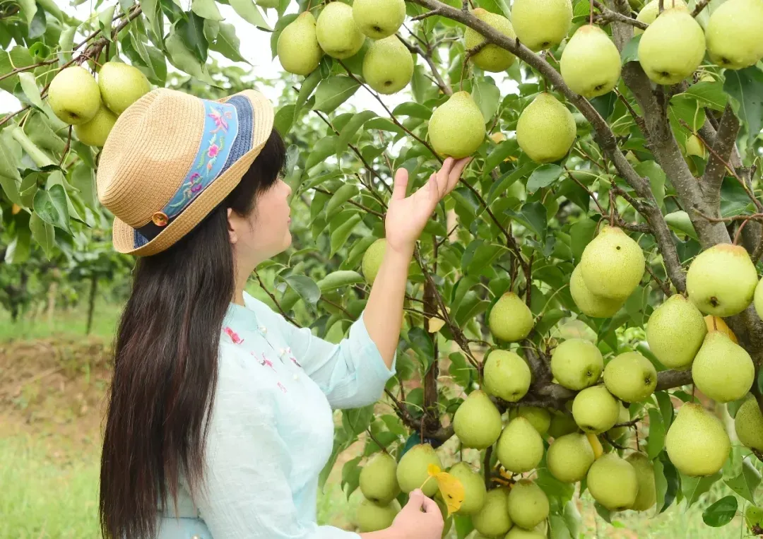 縣區動態 | 來泌陽吧，來一場不一樣的生態游