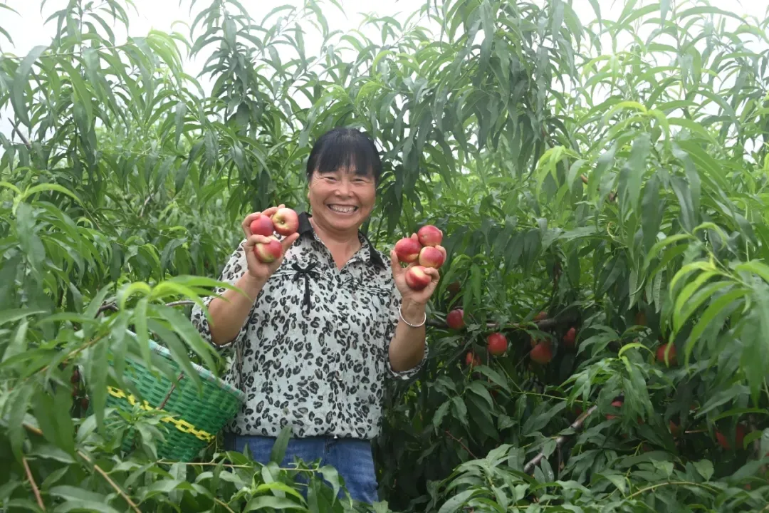 縣區動態 | 來泌陽吧，來一場不一樣的生態游