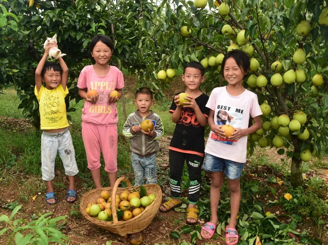 縣區動態 | 來泌陽吧，來一場不一樣的生態游
