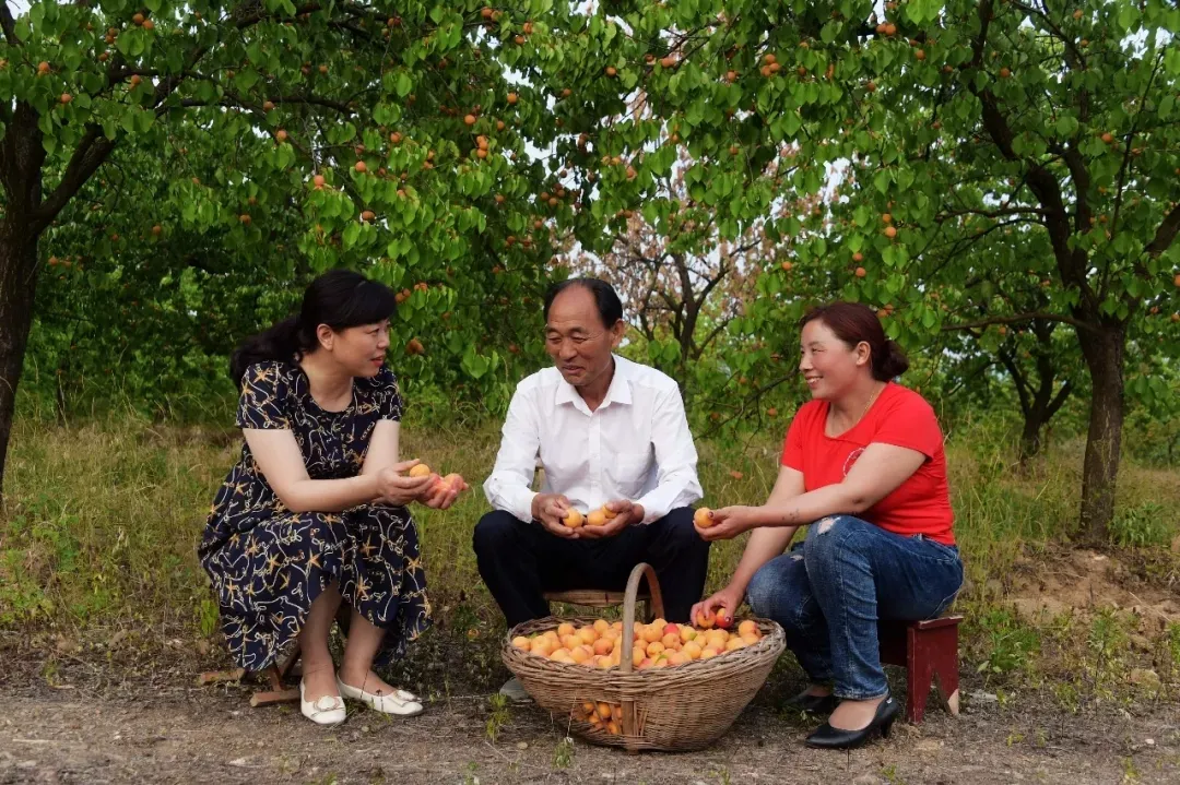 縣區動態 | 來泌陽吧，來一場不一樣的生態游