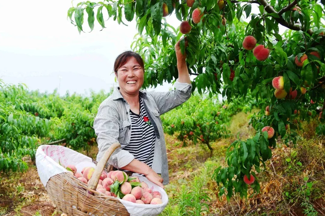 縣區動態 | 來泌陽吧，來一場不一樣的生態游