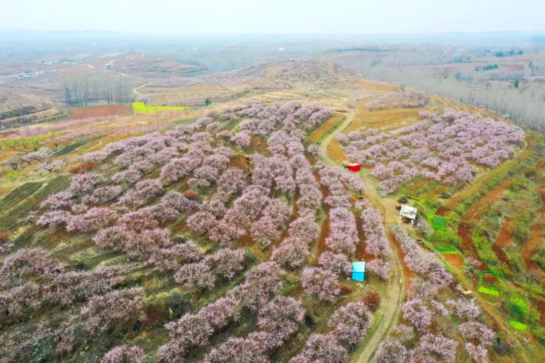 縣區動態 | 來泌陽吧，來一場不一樣的生態游