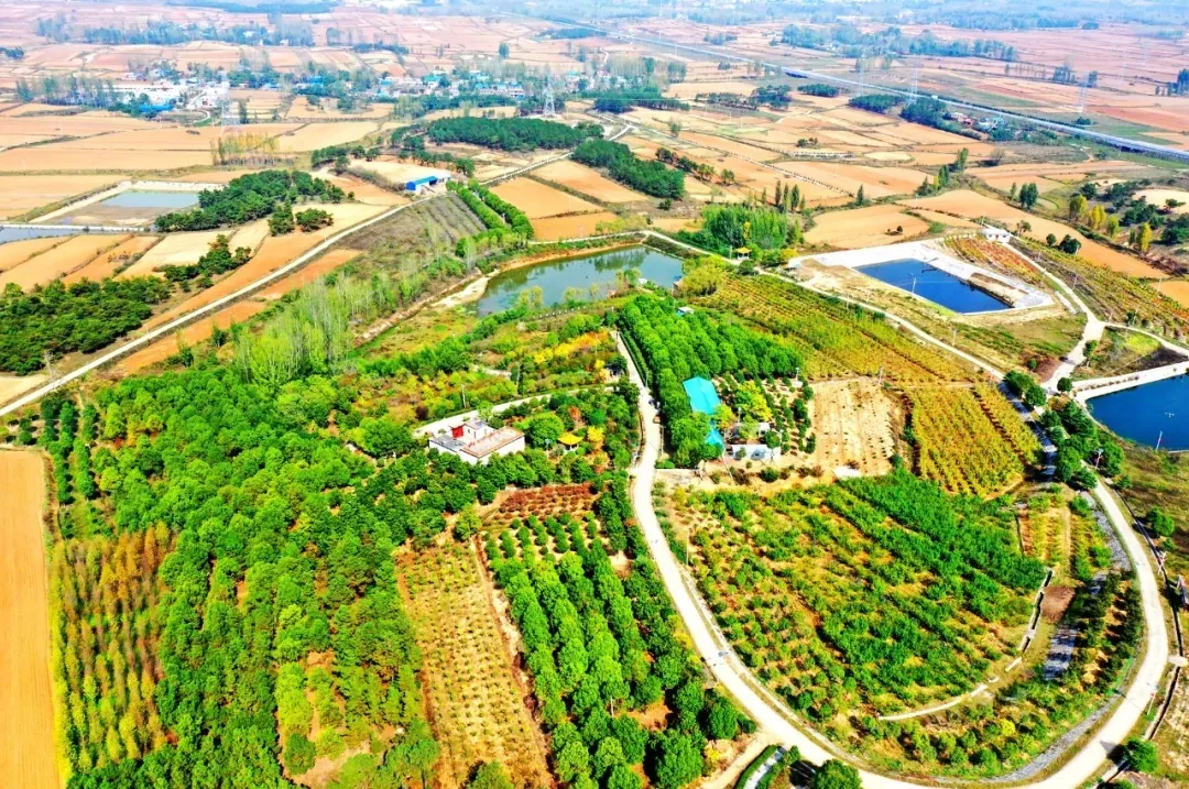 縣區動態 | 來泌陽吧，來一場不一樣的生態游