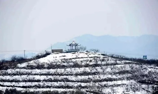 縣區動態 | 來泌陽吧，來一場不一樣的生態游