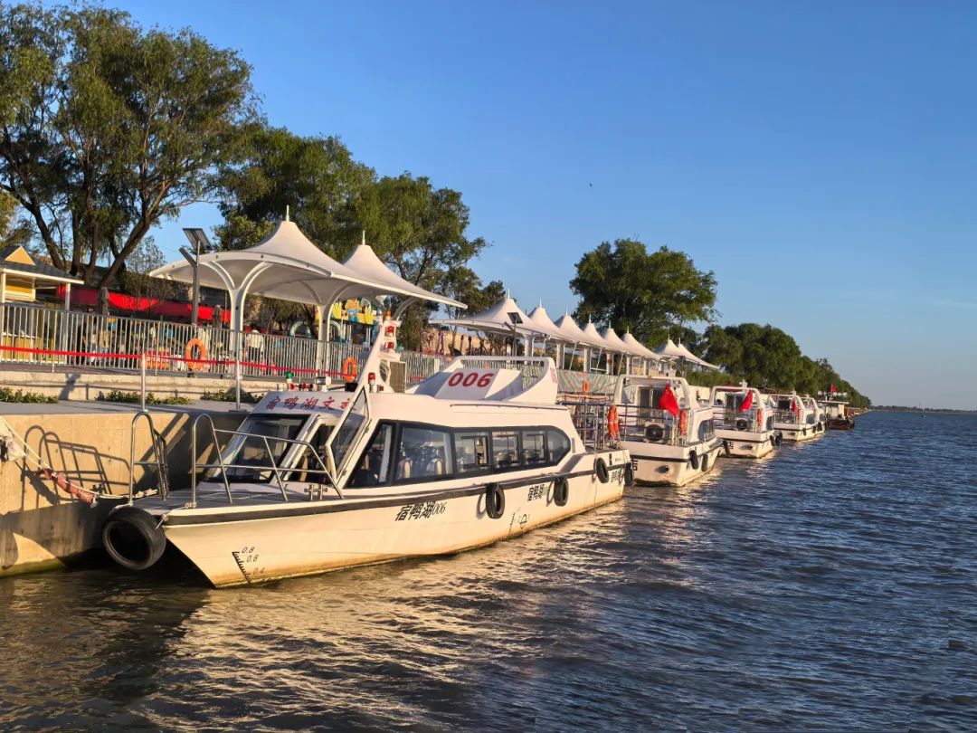 暑期親子游好去處：駐馬店宿鴨湖，與孩子共赴自然之約！