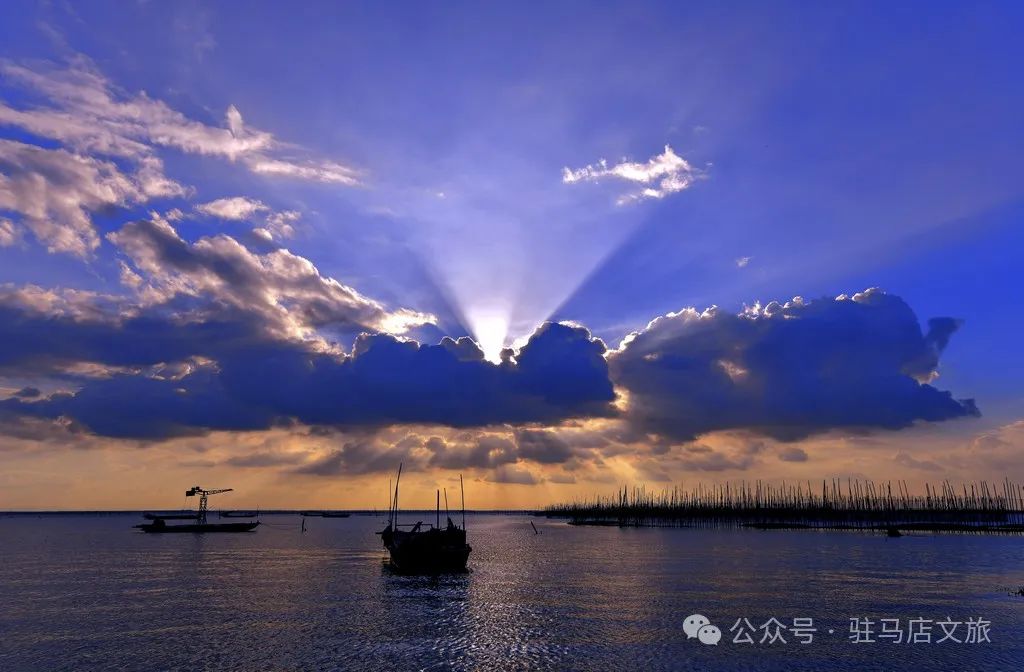 暑期親子游好去處：駐馬店宿鴨湖，與孩子共赴自然之約！