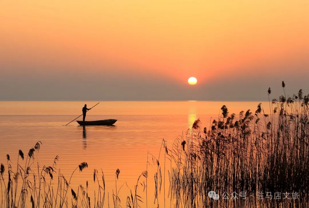 暑期親子游好去處：駐馬店宿鴨湖，與孩子共赴自然之約！