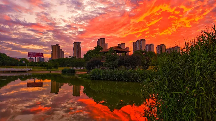 縣區(qū)動(dòng)態(tài) | 夏日落霞 絢麗多彩