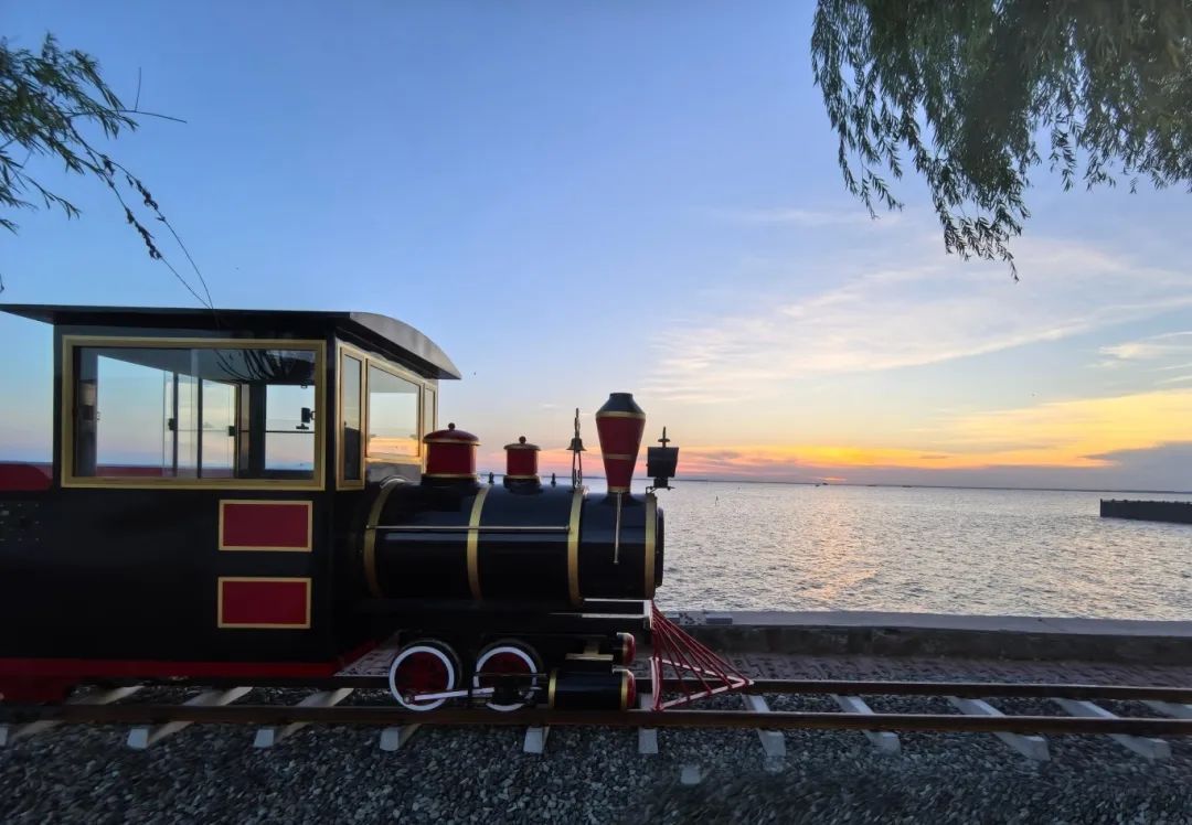 暑期親子游好去處：駐馬店宿鴨湖，與孩子共赴自然之約！