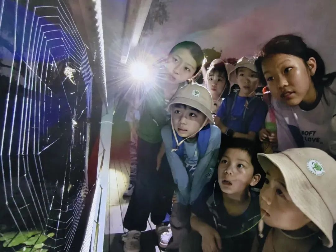 白天賞文物,夜晚追星河!這些活動(dòng)讓親子時(shí)光更有料