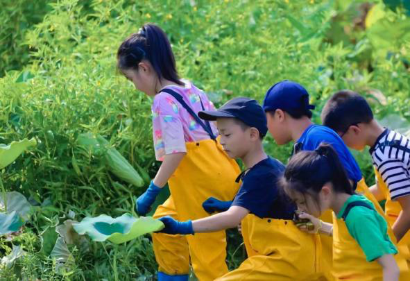 白天賞文物,夜晚追星河!這些活動(dòng)讓親子時(shí)光更有料