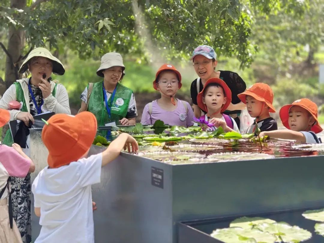 白天賞文物,夜晚追星河!這些活動(dòng)讓親子時(shí)光更有料