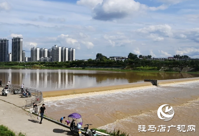 從泌陽陳正的《南河公園晨曲》 看南河公園的晨韻之美