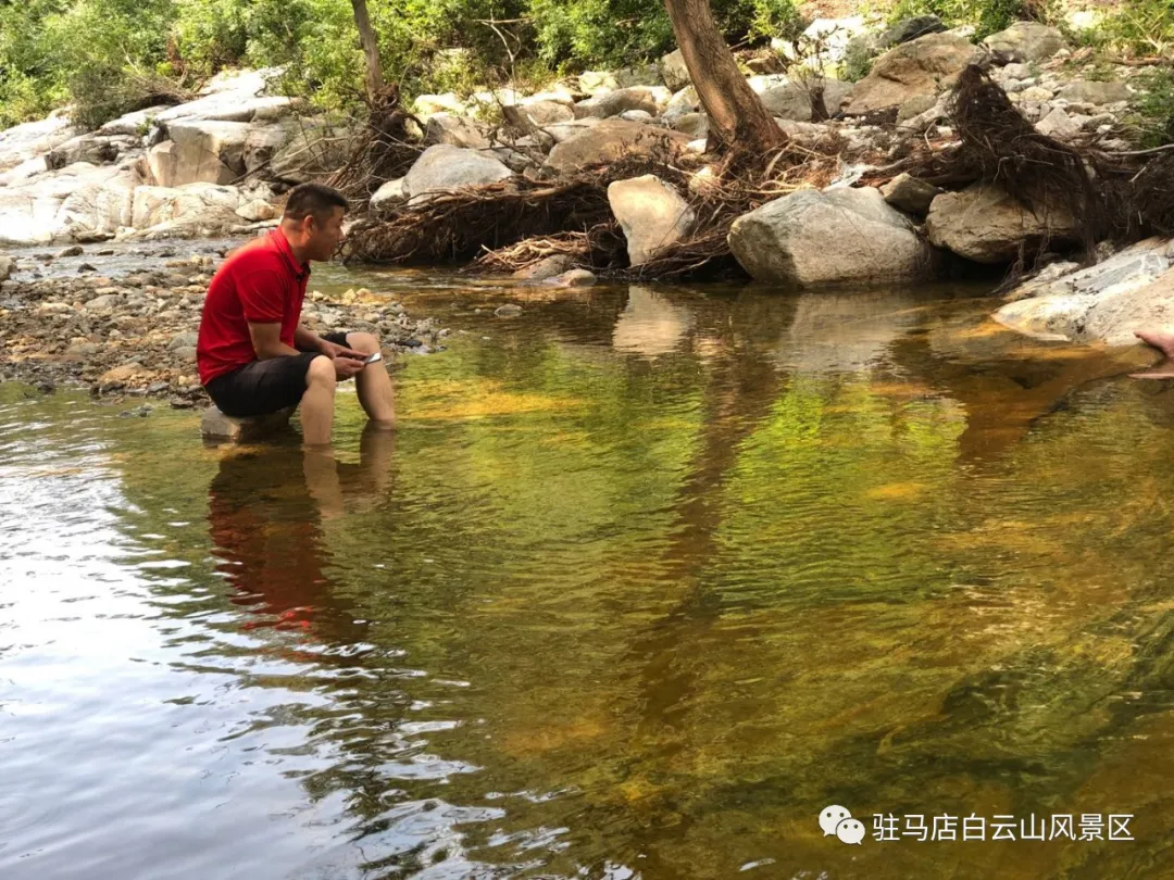 躲進小溪的夏天，娃追著小魚，我追著娃~