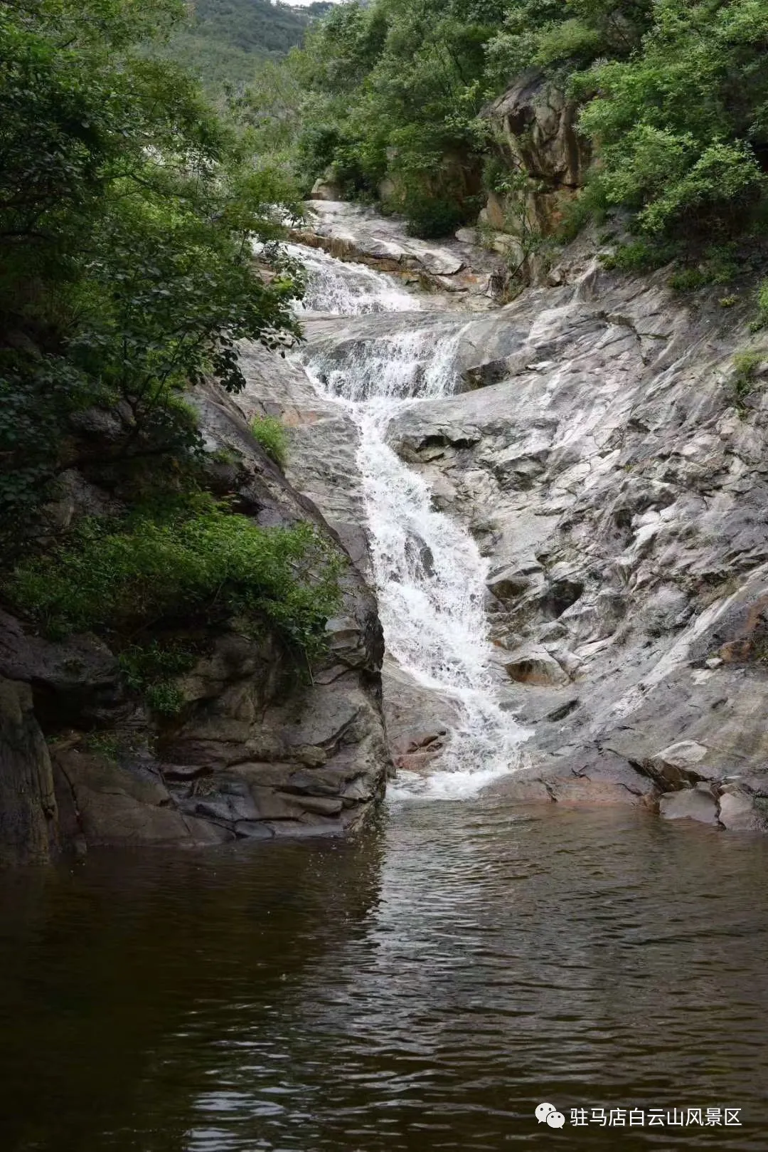 躲進小溪的夏天，娃追著小魚，我追著娃~