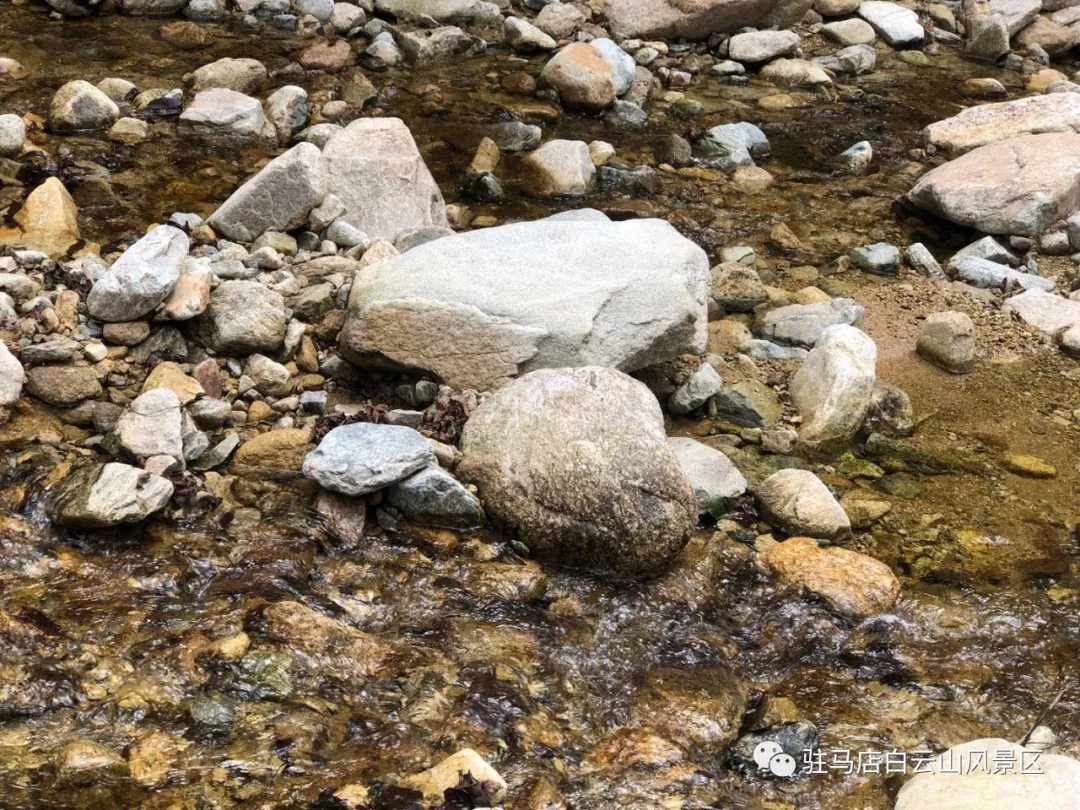 躲進小溪的夏天，娃追著小魚，我追著娃~